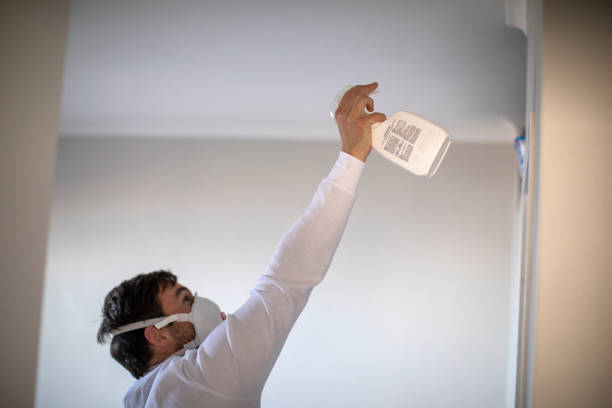 Best Black Mold Remediation in The Hills, TX