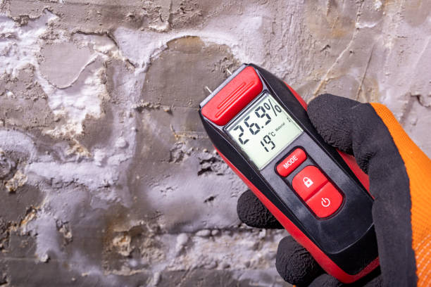 Best Localized Mold Remediation (e.g., coastal areas, humid climates) in The Hills, TX