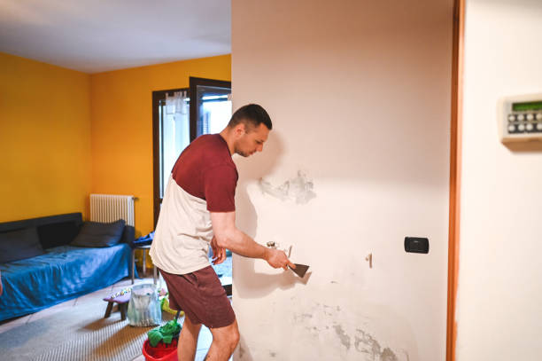 Best Preventive Mold Services in The Hills, TX